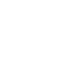 lsu-100-logo-wht---200x200